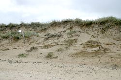 Dune érodée