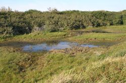 mare derrière l'observatoire à lapins