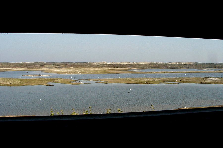 Les mares devant l\'observatoire