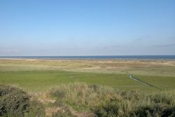 Poldrisation de la plage du casino.