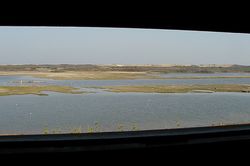view from the hide